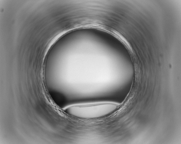 X0000059060956200510101045