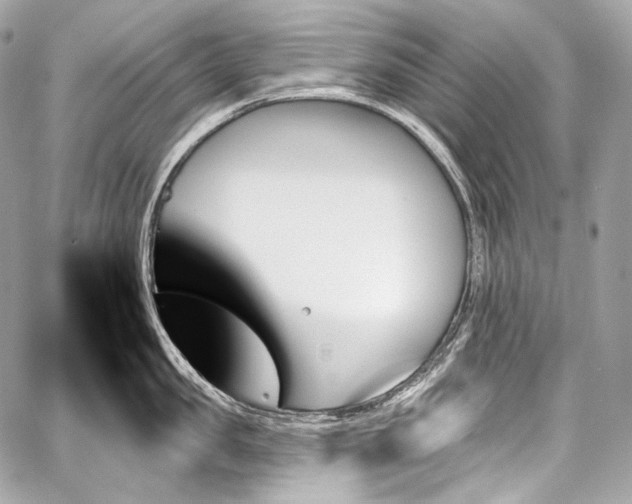 X0000059060957200510101045