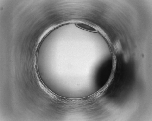 X0000059060958200510101045