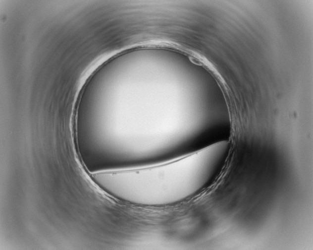 X0000059060959200510101045