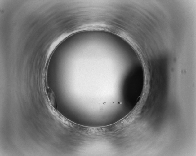 X0000059060960200510101045