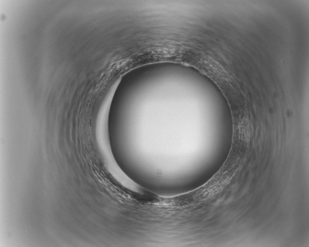 X0000059060961200510101044