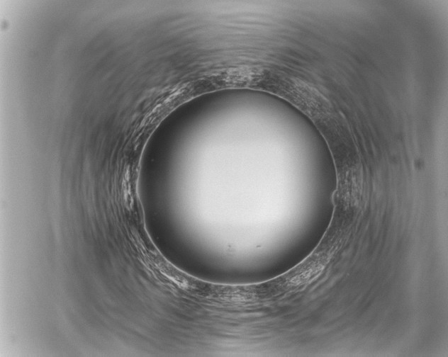 X0000059060962200510101044