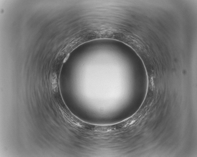 X0000059060963200510101044