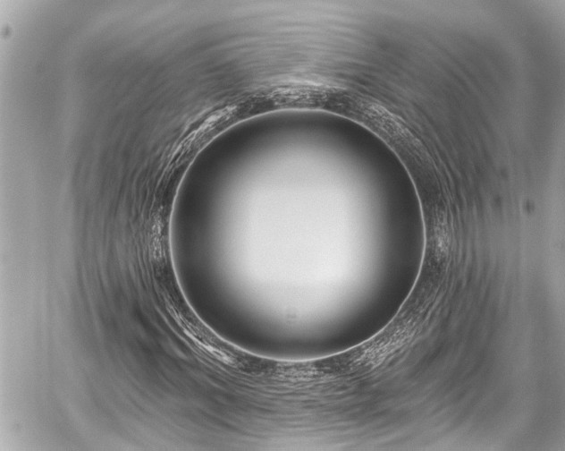 X0000059060964200510101044