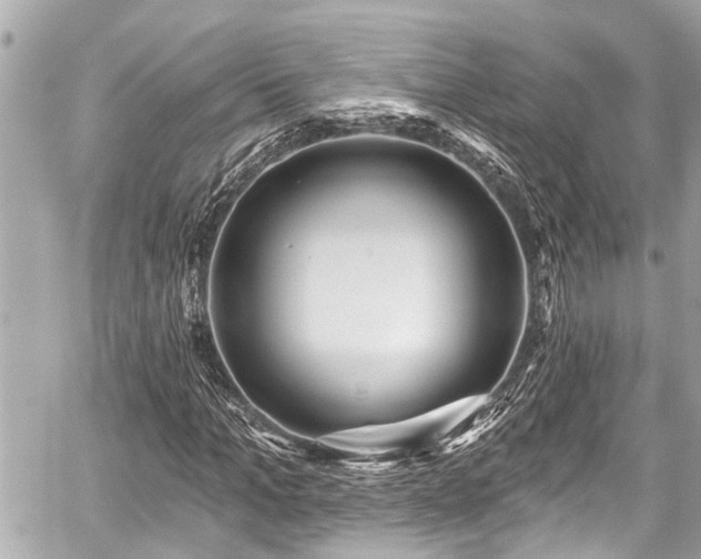 X0000059060965200510101044