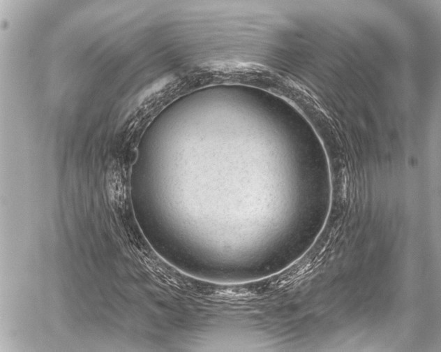 X0000059060966200510101044