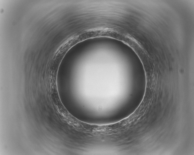 X0000059060967200510101044