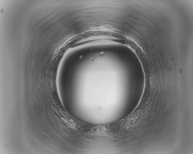 X0000059060968200510101044