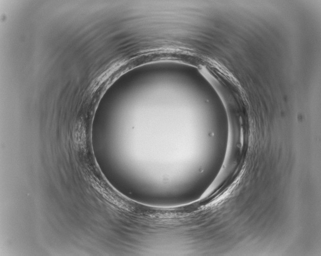 X0000059060969200510101044