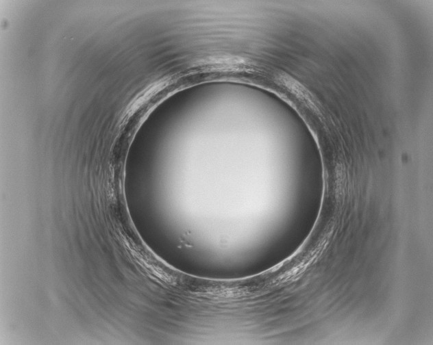 X0000059060970200510101044