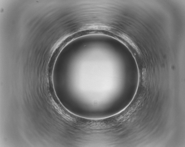 X0000059060972200510101044