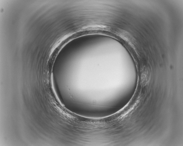 X0000059060973200510101044