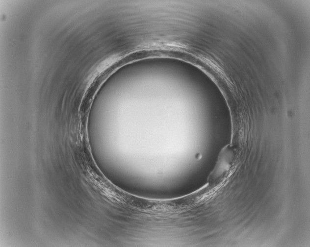 X0000059060974200510101044