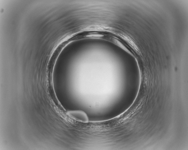 X0000059060976200510101044