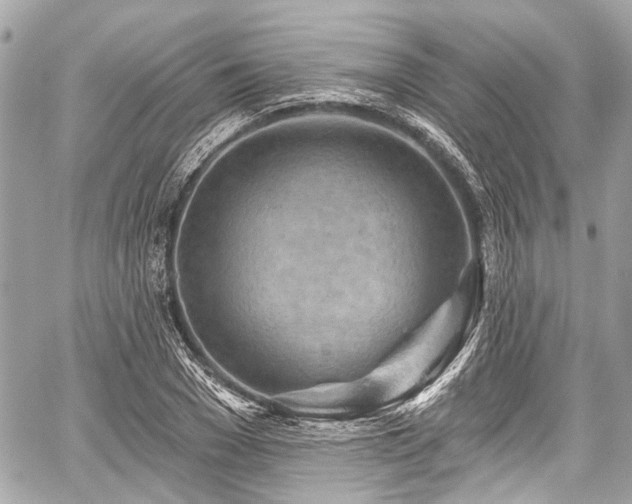 X0000059060977200510101044