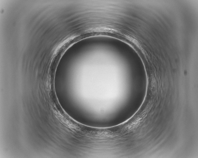 X0000059060979200510101044