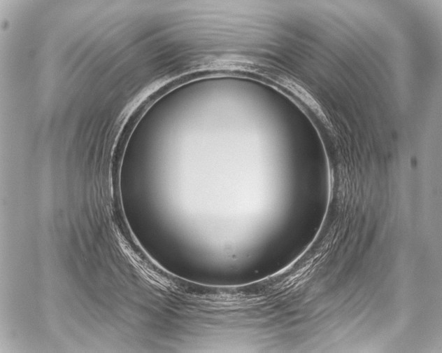 X0000059060980200510101044