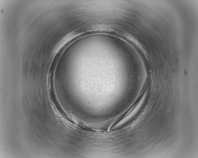 X0000059060983200510101044