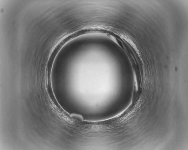 X0000059060984200510101044