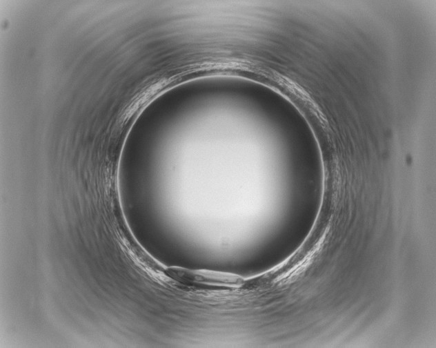 X0000059060985200510101044