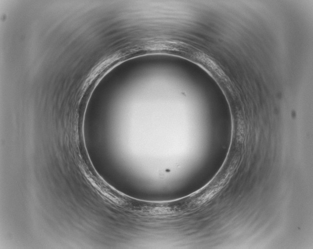 X0000059060986200510101044