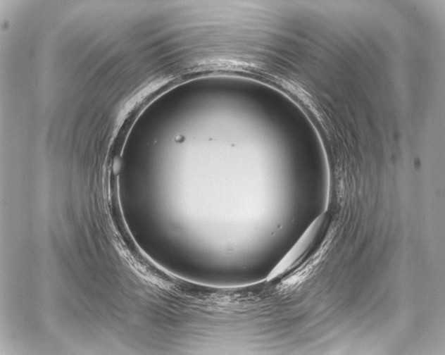 X0000059060987200510101044