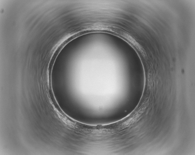 X0000059060988200510101044