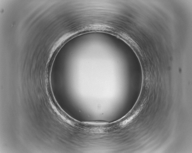 X0000059060989200510101044