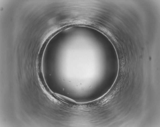 X0000059060991200510101044