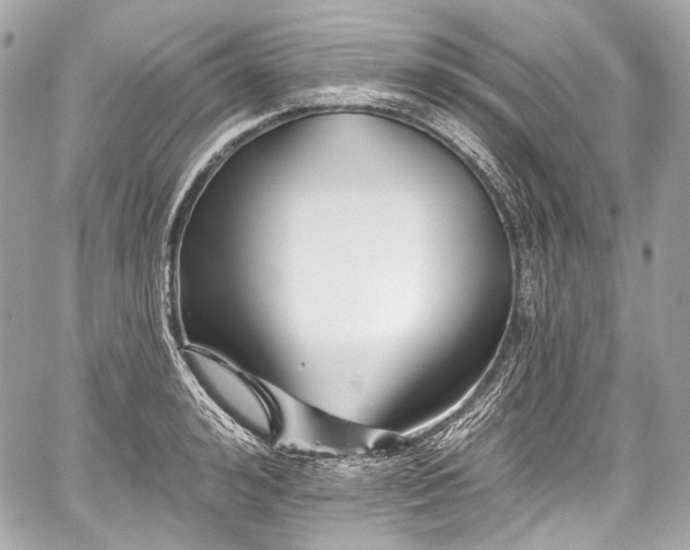 X0000059060992200510101044