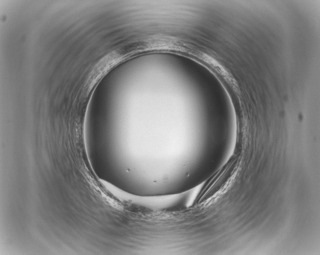 X0000059060993200510101044