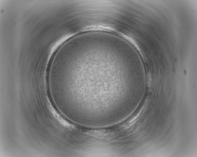 X0000059060995200510101044