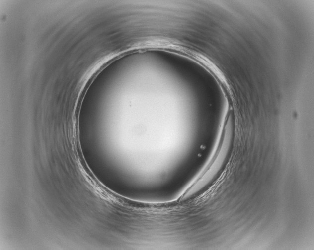 X0000059060996200510101044