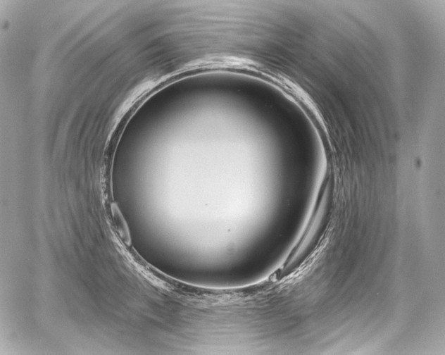 X0000059060997200510101044