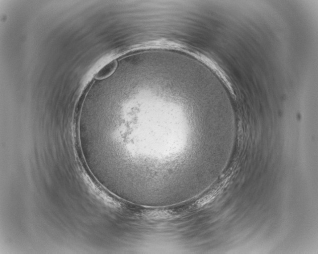 X0000059060998200510101044