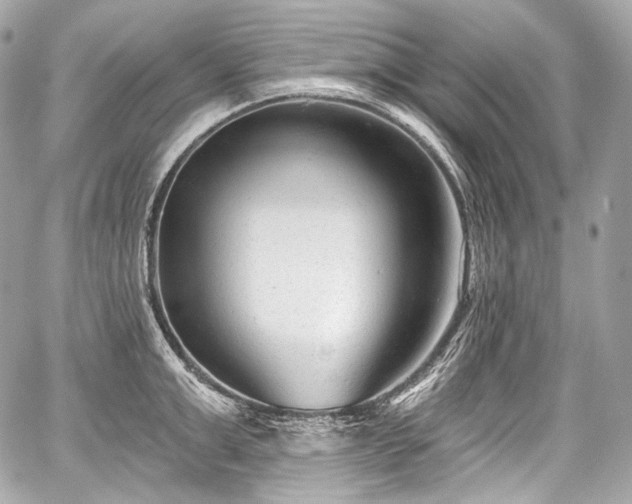 X0000059060999200510101044