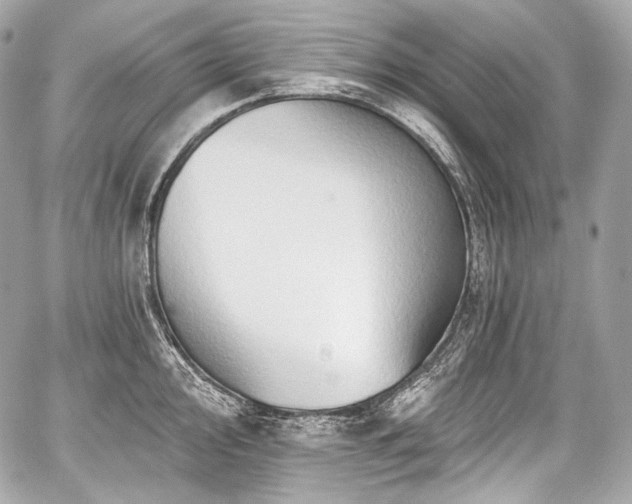 X0000059061000200510101044