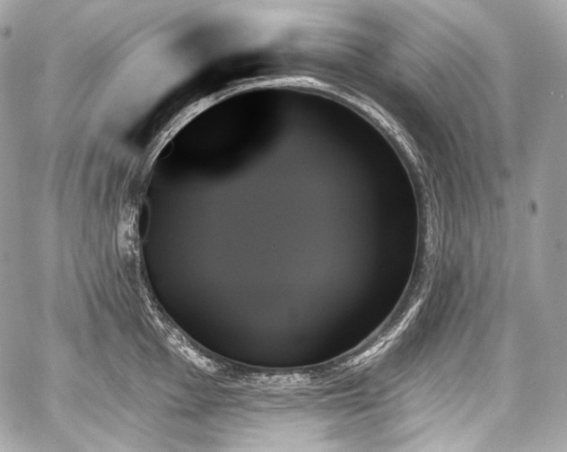 X0000059061001200510101044