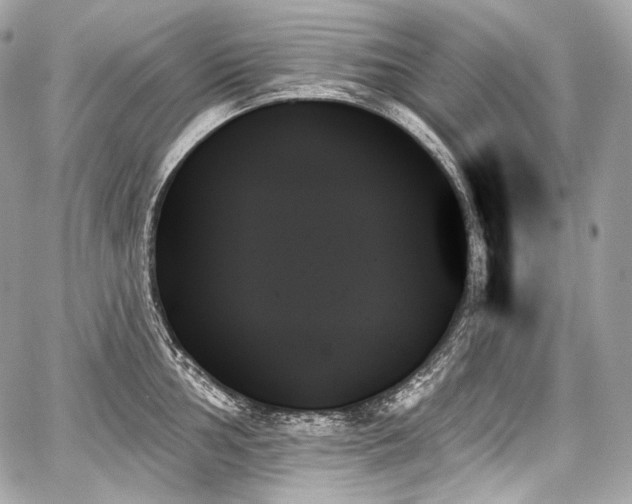 X0000059061002200510101044