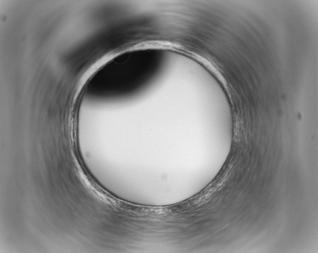 X0000059061003200510101044