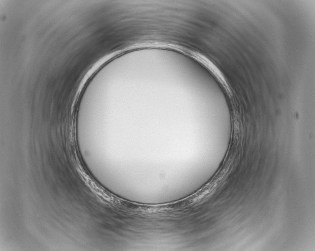 X0000059061004200510101044