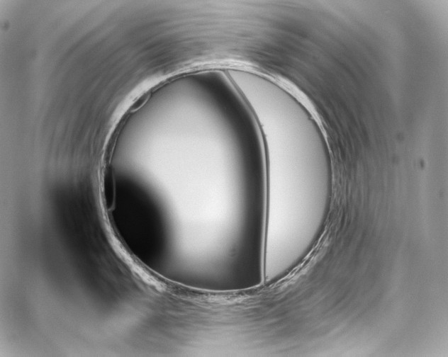 X0000059061005200510101044