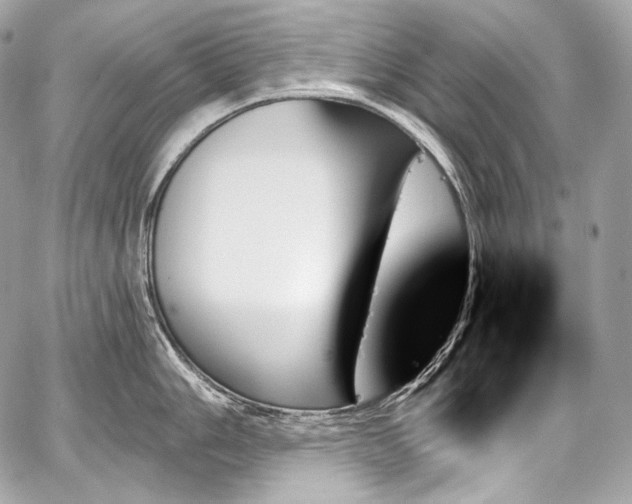 X0000059061006200510101044