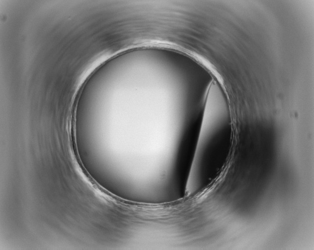 X0000059061007200510101044