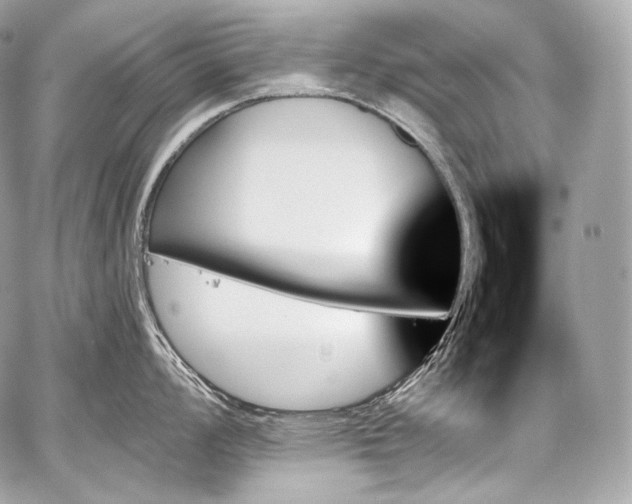 X0000059061008200510101044