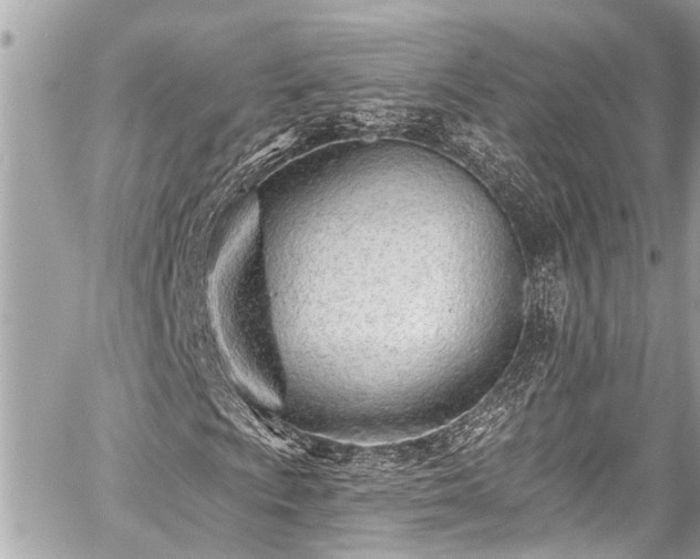 X0000059061009200510101043