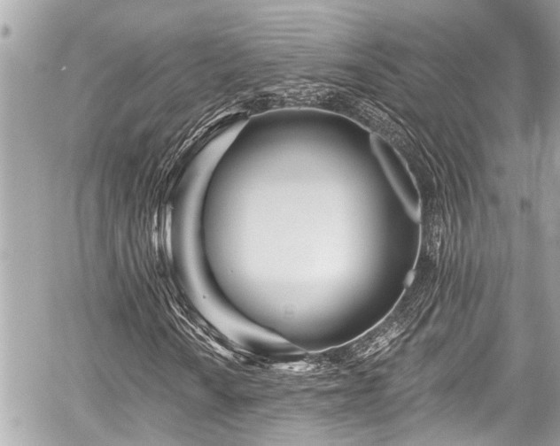 X0000059061010200510101043