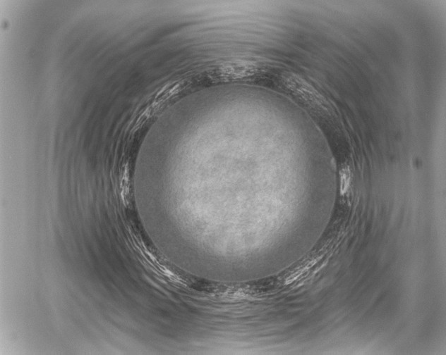 X0000059061011200510101043