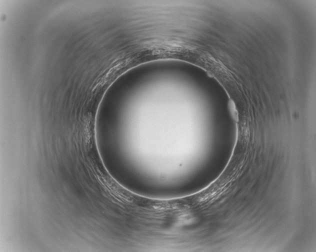 X0000059061012200510101043